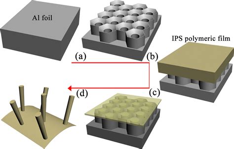 Schematic Of Fabrication Procedure Of Polymeric Nanowire A A