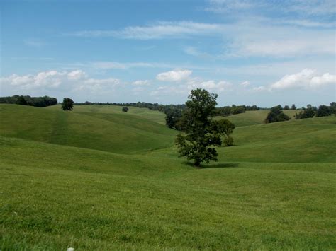 Rolling Hills Of Kentucky