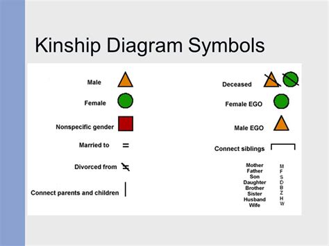 Bilateral Kinship Chart - Ponasa