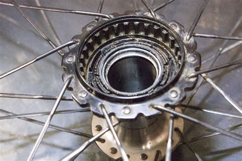 Teardown Shimano Xtr M9100 Hubs