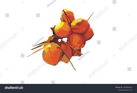 King Coconut Over 387 Royalty Free Licensable Stock Vectors And Vector