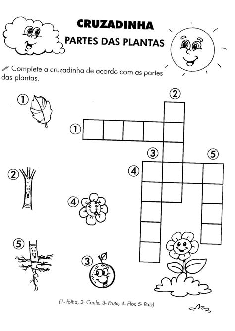 Virtuosaspedagogia Atividades De Ci Ncias Ano Plantas I