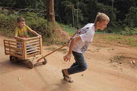 Brinquedos Da Zona Rural Librain