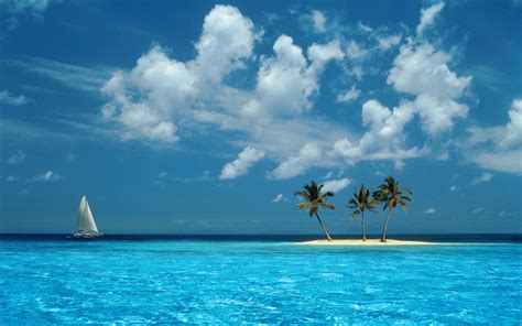 Wallpaper : Windows XP, nostalgia, azul, sky, clouds, water, palm trees ...