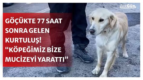 Göçükte 77 saatte gelen mucize kurtuluş Köpeğimiz bize mucizeyi