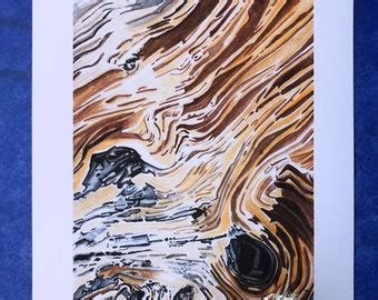 Bristlecone Pine Art - Etsy