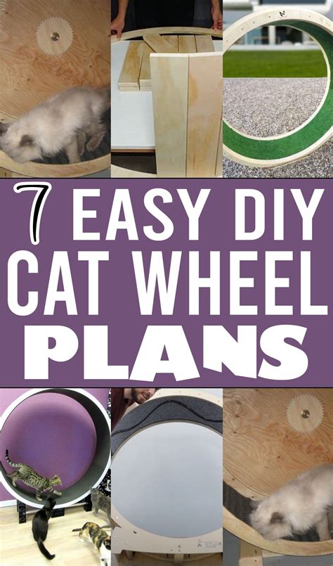 7 Diy Cat Wheel Plans With Instructions The Newlywed