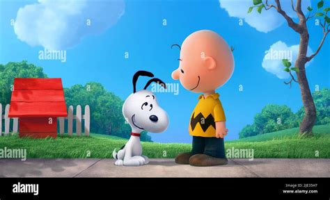 Charlie Brown Et Snoopy