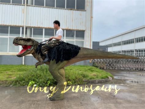 Realistic T Rex Stilts Walking Dino Costume Only Dinosaurs