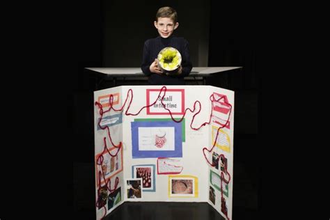 Top 8 Biology Science Fair Projects | Biology science fair projects ...