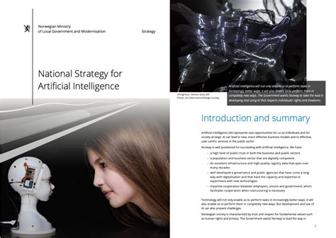 National Ai Strategies The Ai Strategy Landscape