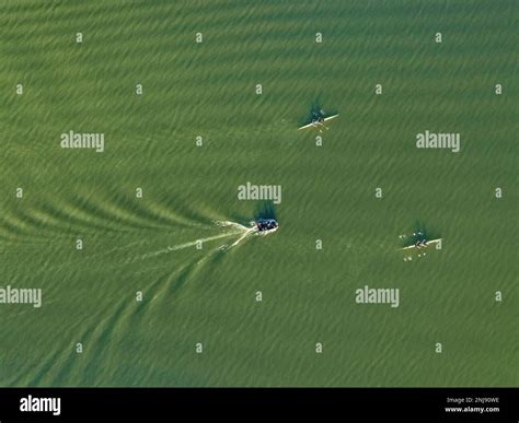 Aerial View Of Kayaks And A Boat Sailing And Training In The Segre And