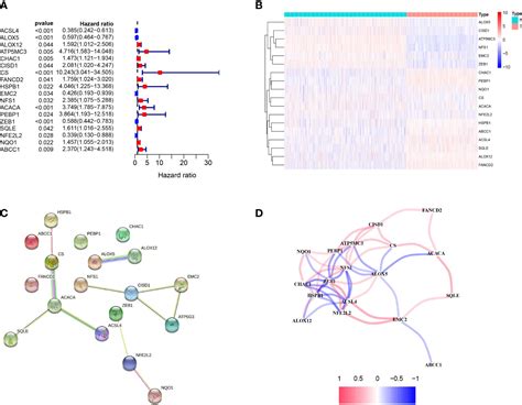 Frontiers A Novel Melanoma Prognostic Model Based On The Ferroptosis