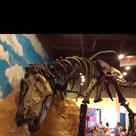 Creative Discovery Museum-Chattanooga, TN | Chattanooga attractions ...