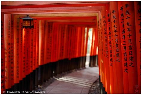 Fushimi-Inari Hike - Inside Kyoto