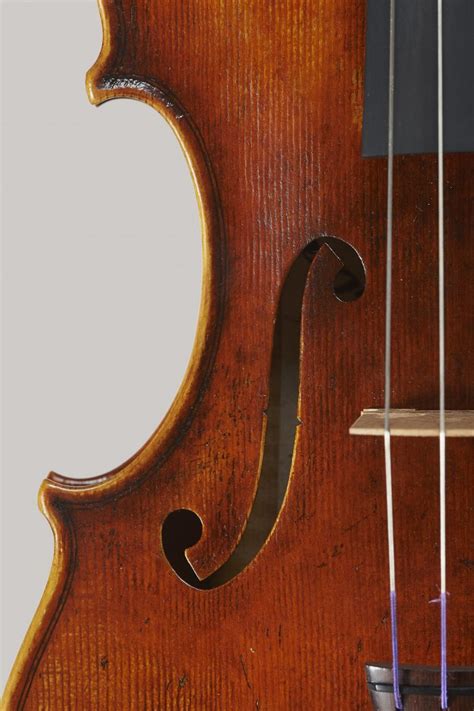 Andrea Varazzani Italy Cremona 2020 Model Guarneri Del Gesu 1743 “il Cannone” ヴァイオリン アンドレア