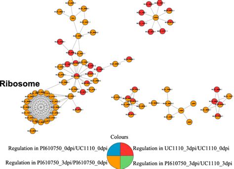 Protein Protein Interaction Network Analysis Of The Deps Of The Two