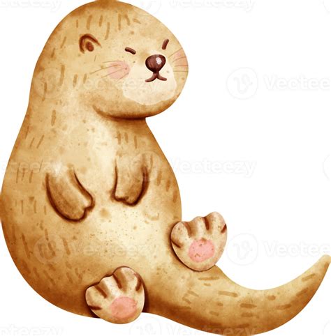 Watercolor Animal Otter 36912528 Png