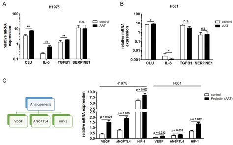 Cancers Free Full Text Clinical Significance Of Serpina1 Gene And