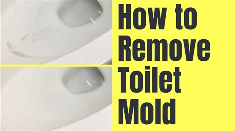 Mold in Toilet - Prevention & Removal Guide [Updated For 2025]