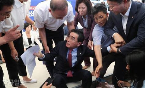 이재명 단식장 찾은 태영호 내게 쓰레기라고 한 의원 제명하라 네이트 뉴스