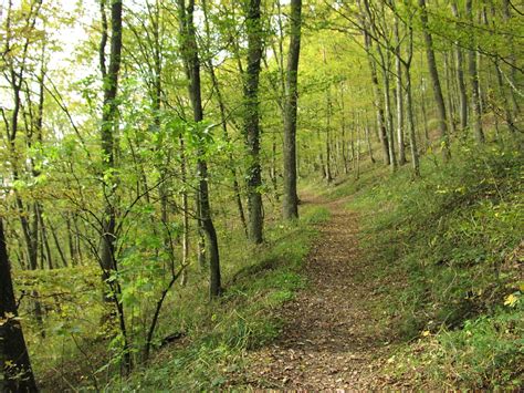 Vulkaneifel Pfad B Che Pfad Rundtour Hasborn Ober Und