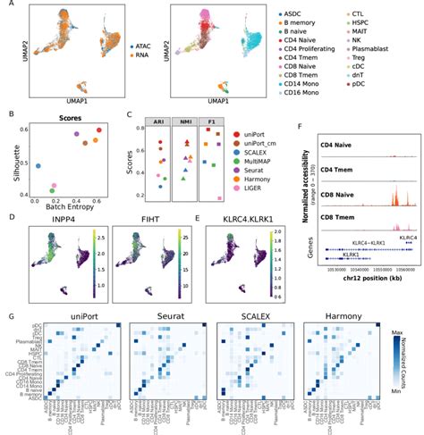 UniPort Integrates Single Cell Transcriptomics And Chromatin