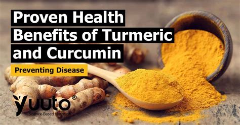 Turmeric Curcumin Usage, Dosage, Benefits and Side Effects | Turmeric ...