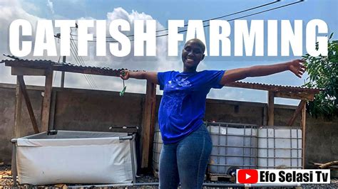 Beginner Catfish Farmer How To Start Catfish Farming Catfish