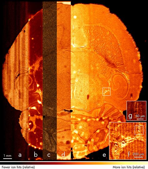 Fast Mass Microscopy Mass Spectrometry Imaging Of A Gigapixel Image In 34 Minutes Analytical