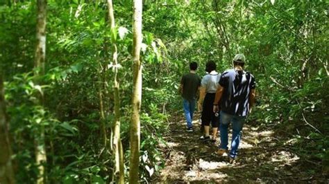 Museu da Energia de Salesópolis oferece atividades gratuitas em agosto