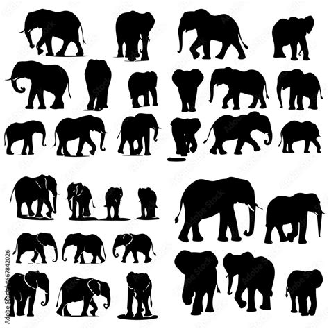 Elephant Svg Elephant Png Elephant Vector Elephant Silhouette