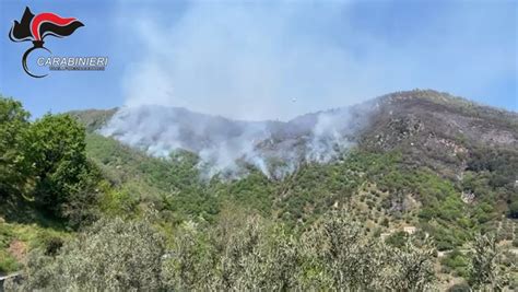 Individuati I Responsabili Dell Incendio Che Ha Devastato La Presila