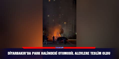 Diyarbakırda park halindeki otomobil alevlere teslim oldu