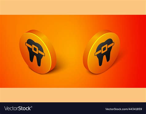 Isometric Teeth With Braces Icon Isolated Vector Image