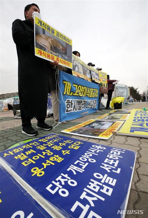 개식용 금지법 국회 통과 촉구 기자회견 네이트 뉴스