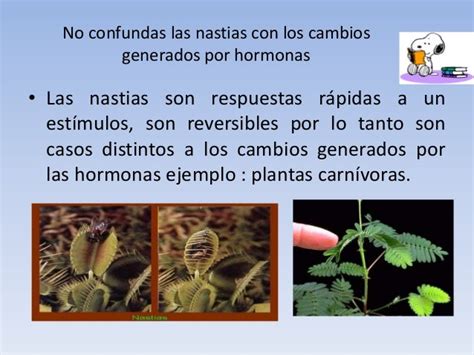 Estimulos Y Respuestas Animales Plantas