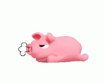 Pig GIF - Pig - Discover & Share GIFs