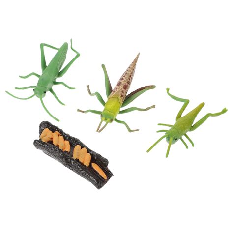 Buy Insects Bugs Figurines Grasshopper Playthings Insect Life Cycle