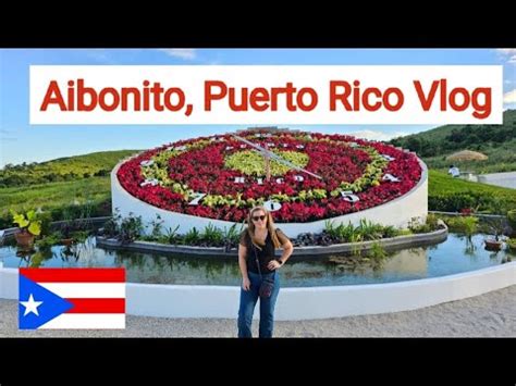 Reloj De Flores En Aibonito Puerto Rico Beer Garden Vlog Things To