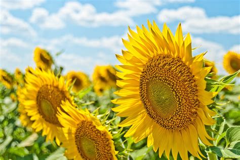 Why Summer Doesn’t Have to Be For Everyone - Little Miss Gem Travels