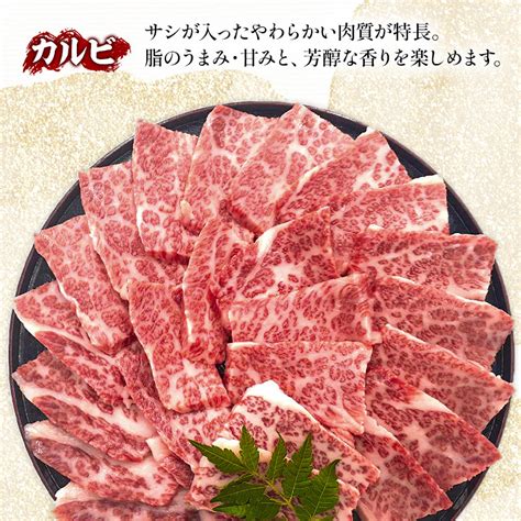 宮崎牛 カルビ 焼肉 500gm243 004 宮崎県宮崎市｜ふるさとチョイス ふるさと納税サイト