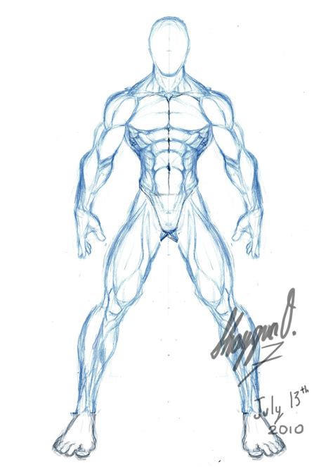 Anatoref Non Dynamic Male Pose Reference Row Row Anatomy