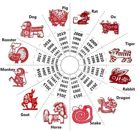 Segni Zodiacali Cinesi Quali Sono Significato E Calcolo Segni