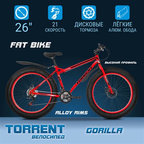 Велосипед TORRENT Gorilla (рама сталь 17", внедорожный, 21 скорость ...