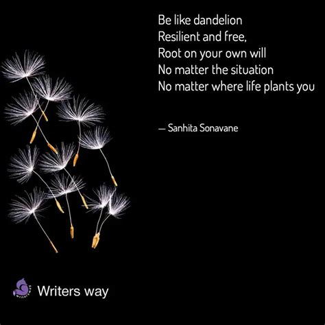 Be Like Dandelion Resilie Quotes Writings By Sage YourQuote