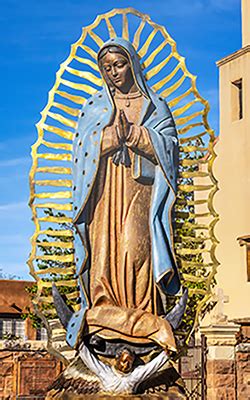 The Beauty Of Gods Creation Our Lady Of Guadalupe Franciscan Voice