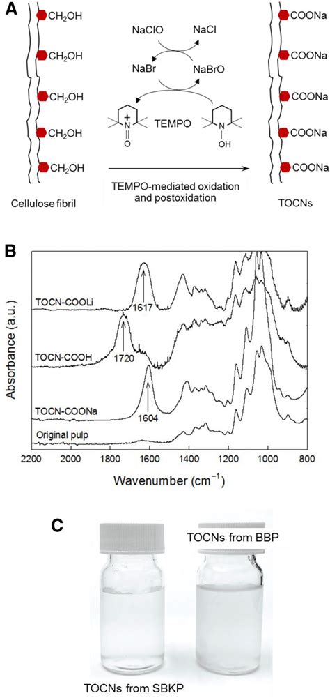 A Schematic Illustration Of Tempo Mediated Oxidation With Postoxidation Download Scientific