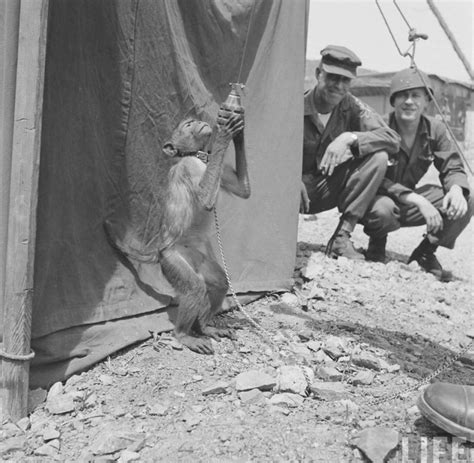 Интересные и редкие ретро-фотографии: picturehistory — LiveJournal