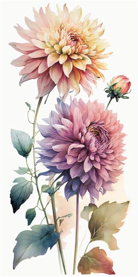 Pin By Bhavesh Pawar On PNG Flowres Watercolor Flower Art Flower